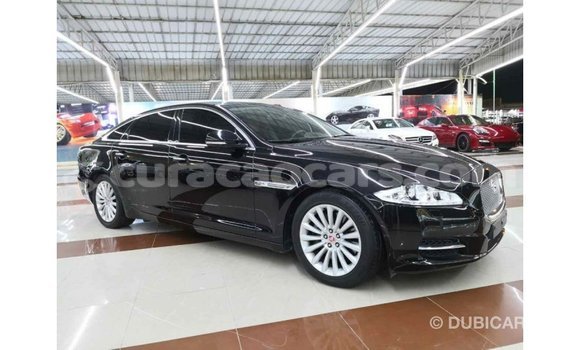 Buy Import Jaguar XJ Black Car in Import - Dubai in Curacao Buy Import Jaguar XJ Black Car in Import - Dubai in Curacao