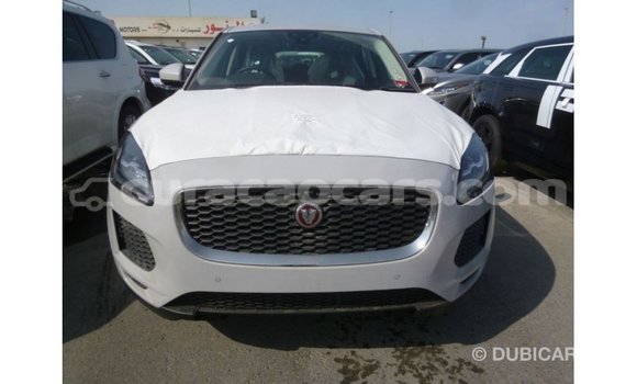 Buy Import Jaguar E-Pace White Car in Import - Dubai in Curacao Buy Import Jaguar E-Pace White Car in Import - Dubai in Curacao