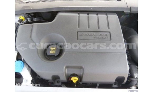 Buy Import Jaguar E-Pace White Car in Import - Dubai in Curacao Buy Import Jaguar E-Pace White Car in Import - Dubai in Curacao