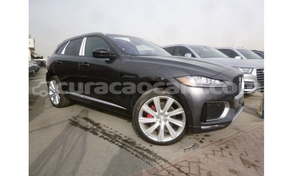 Buy Import Jaguar F-Pace Black Car in Import - Dubai in Curacao