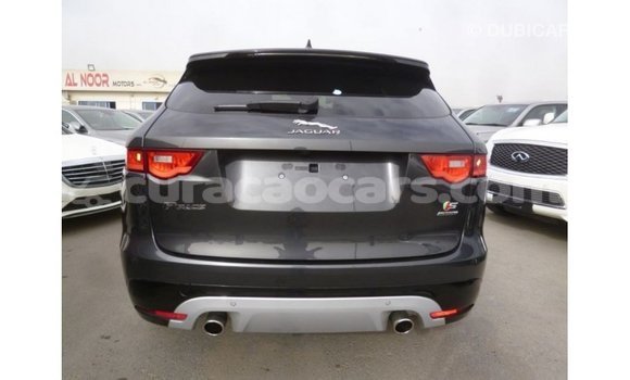 Buy Import Jaguar F-Pace Black Car in Import - Dubai in Curacao Buy Import Jaguar F-Pace Black Car in Import - Dubai in Curacao