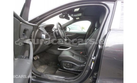 Buy Import Jaguar F-Pace Black Car in Import - Dubai in Curacao Buy Import Jaguar F-Pace Black Car in Import - Dubai in Curacao
