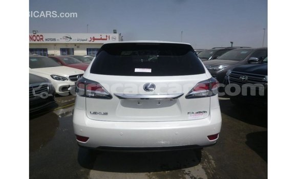 Buy Import Lexus RX White Car in Import - Dubai in Curacao Buy Import Lexus RX White Car in Import - Dubai in Curacao
