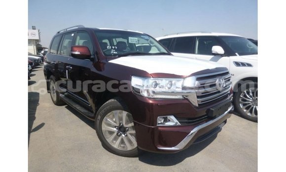 Buy Import Toyota Land Cruiser Red Car in Import - Dubai in Curacao Buy Import Toyota Land Cruiser Red Car in Import - Dubai in Curacao