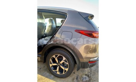 Buy Import Kia Sportage Brown Car in Import - Dubai in Curacao Buy Import Kia Sportage Brown Car in Import - Dubai in Curacao