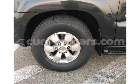 Buy Import Toyota HiAce Black Truck in Import - Dubai in Curacao Buy Import Toyota HiAce Black Truck in Import - Dubai in Curacao