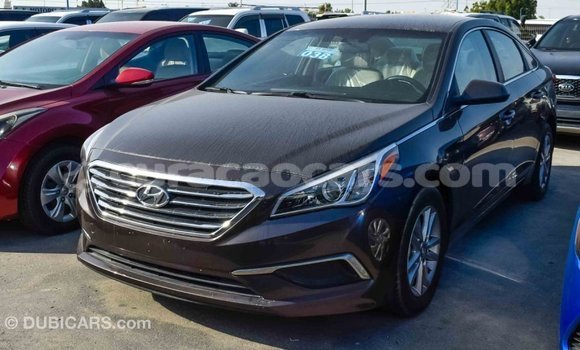 Buy Import Hyundai Sonata Brown Car in Import - Dubai in Curacao Buy Import Hyundai Sonata Brown Car in Import - Dubai in Curacao