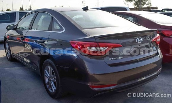 Buy Import Hyundai Sonata Brown Car in Import - Dubai in Curacao Buy Import Hyundai Sonata Brown Car in Import - Dubai in Curacao