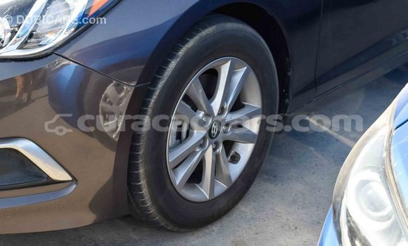 Buy Import Hyundai Sonata Brown Car in Import - Dubai in Curacao Buy Import Hyundai Sonata Brown Car in Import - Dubai in Curacao