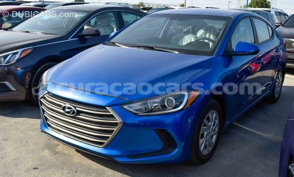 Buy Import Hyundai Elantra Blue Car in Import - Dubai in Curacao Buy Import Hyundai Elantra Blue Car in Import - Dubai in Curacao