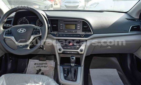 Buy Import Hyundai Elantra Blue Car in Import - Dubai in Curacao Buy Import Hyundai Elantra Blue Car in Import - Dubai in Curacao