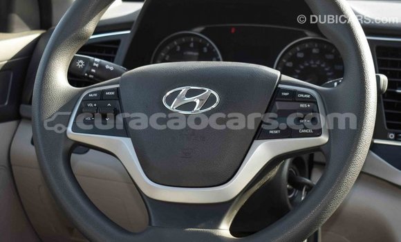 Buy Import Hyundai Elantra Blue Car in Import - Dubai in Curacao Buy Import Hyundai Elantra Blue Car in Import - Dubai in Curacao