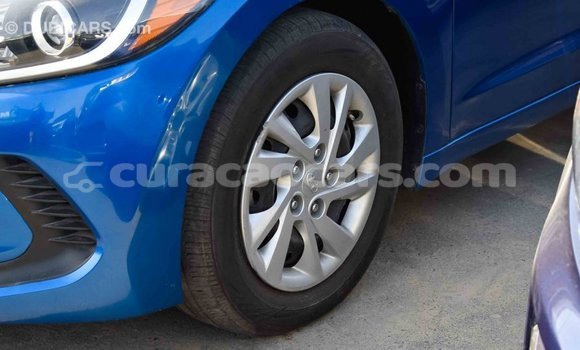 Buy Import Hyundai Elantra Blue Car in Import - Dubai in Curacao Buy Import Hyundai Elantra Blue Car in Import - Dubai in Curacao