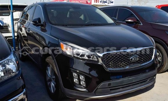 Buy Import Kia Sorento Black Car in Import - Dubai in Curacao Buy Import Kia Sorento Black Car in Import - Dubai in Curacao
