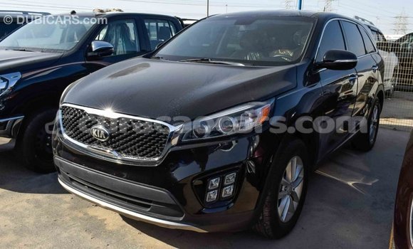 Buy Import Kia Sorento Black Car in Import - Dubai in Curacao Buy Import Kia Sorento Black Car in Import - Dubai in Curacao