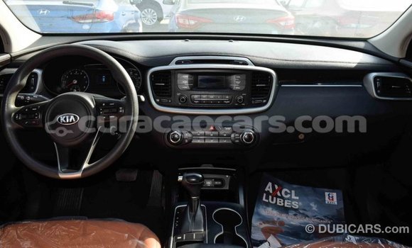 Buy Import Kia Sorento Black Car in Import - Dubai in Curacao Buy Import Kia Sorento Black Car in Import - Dubai in Curacao