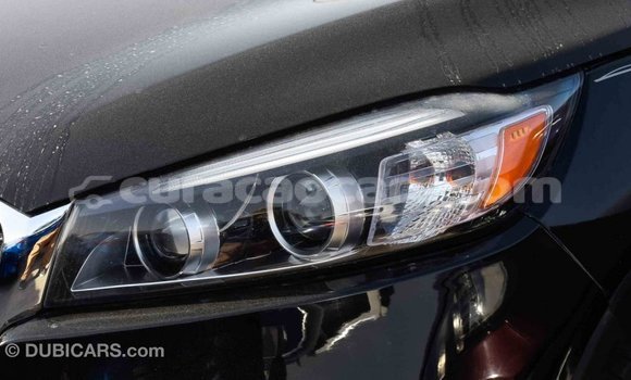 Buy Import Kia Sorento Black Car in Import - Dubai in Curacao Buy Import Kia Sorento Black Car in Import - Dubai in Curacao