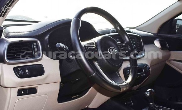 Buy Import Kia Sorento Brown Car in Import - Dubai in Curacao Buy Import Kia Sorento Brown Car in Import - Dubai in Curacao