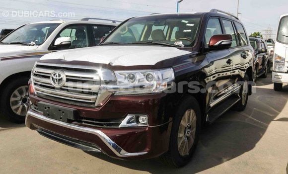Buy Import Toyota Land Cruiser Other Car in Import - Dubai in Curacao Buy Import Toyota Land Cruiser Other Car in Import - Dubai in Curacao