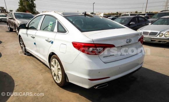 Buy Import Hyundai Sonata White Car in Import - Dubai in Curacao Buy Import Hyundai Sonata White Car in Import - Dubai in Curacao