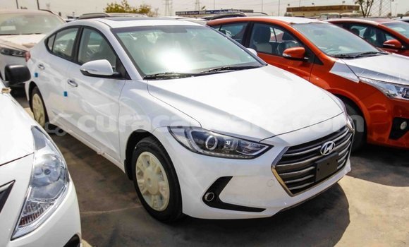 Buy Import Hyundai Elantra White Car in Import - Dubai in Curacao Buy Import Hyundai Elantra White Car in Import - Dubai in Curacao