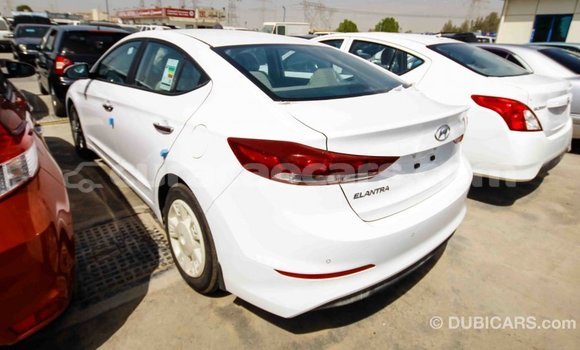 Buy Import Hyundai Elantra White Car in Import - Dubai in Curacao Buy Import Hyundai Elantra White Car in Import - Dubai in Curacao