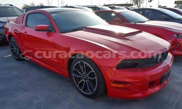Buy Import Ford Mustang Red Car in Import - Dubai in Curacao Buy Import Ford Mustang Red Car in Import - Dubai in Curacao