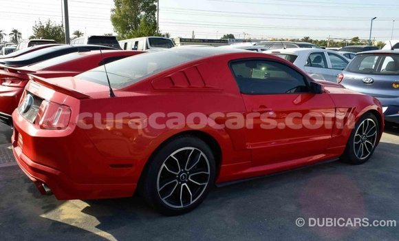 Buy Import Ford Mustang Red Car in Import - Dubai in Curacao Buy Import Ford Mustang Red Car in Import - Dubai in Curacao