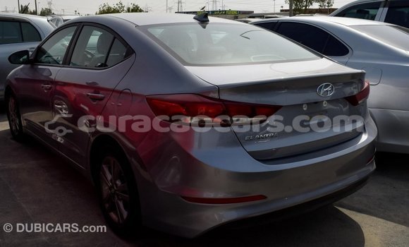 Buy Import Hyundai Elantra Other Car in Import - Dubai in Curacao Buy Import Hyundai Elantra Other Car in Import - Dubai in Curacao
