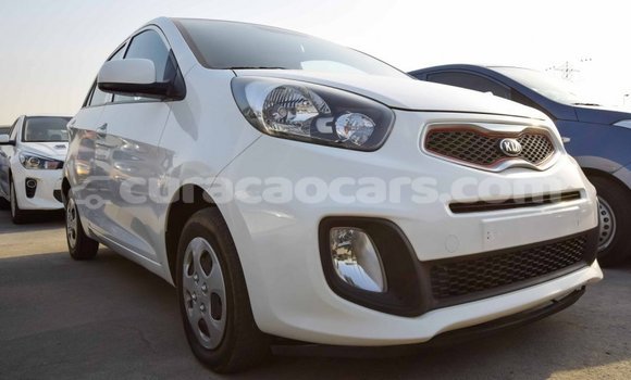 Buy Import Kia Picanto White Car in Import - Dubai in Curacao Buy Import Kia Picanto White Car in Import - Dubai in Curacao