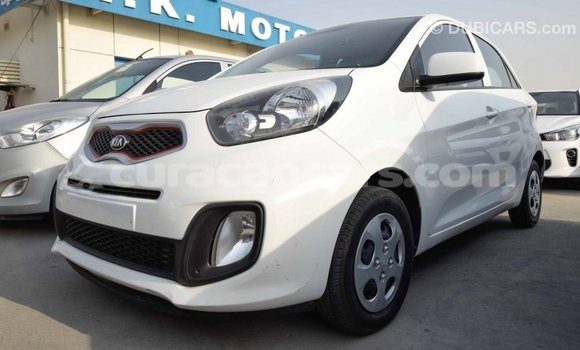 Buy Import Kia Picanto White Car in Import - Dubai in Curacao Buy Import Kia Picanto White Car in Import - Dubai in Curacao