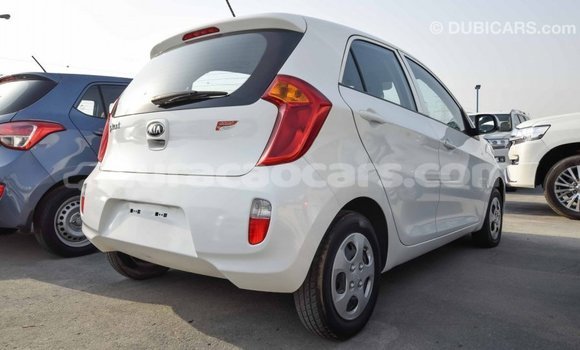 Buy Import Kia Picanto White Car in Import - Dubai in Curacao Buy Import Kia Picanto White Car in Import - Dubai in Curacao