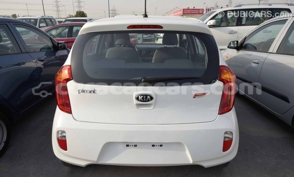 Buy Import Kia Picanto White Car in Import - Dubai in Curacao Buy Import Kia Picanto White Car in Import - Dubai in Curacao