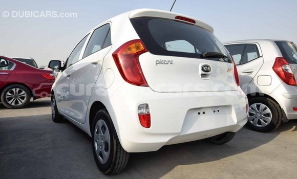 Buy Import Kia Picanto White Car in Import - Dubai in Curacao Buy Import Kia Picanto White Car in Import - Dubai in Curacao