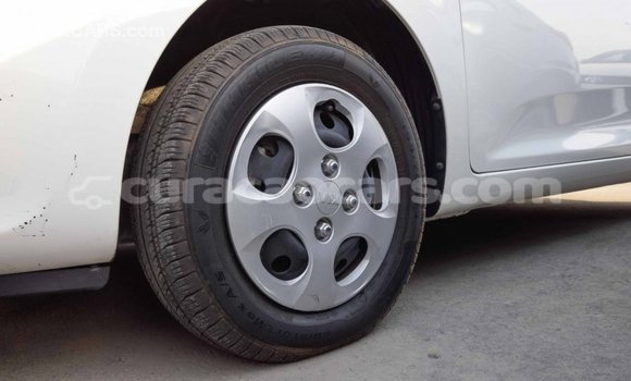 Buy Import Kia Picanto White Car in Import - Dubai in Curacao Buy Import Kia Picanto White Car in Import - Dubai in Curacao