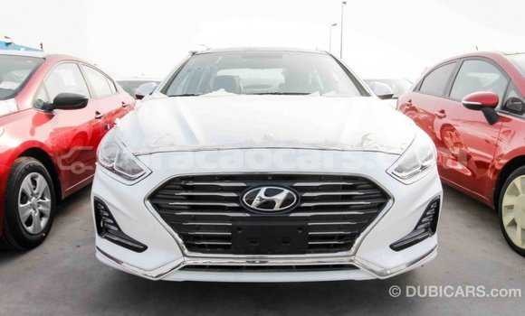 Buy Import Hyundai Sonata White Car in Import - Dubai in Curacao Buy Import Hyundai Sonata White Car in Import - Dubai in Curacao