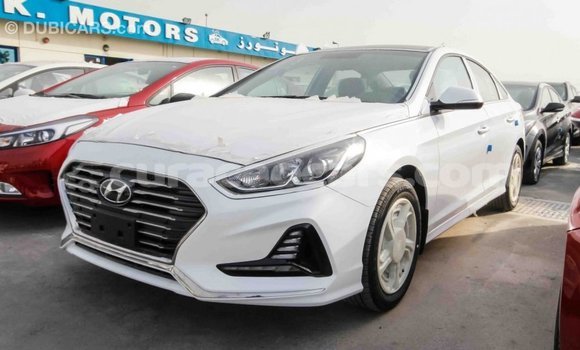 Buy Import Hyundai Sonata White Car in Import - Dubai in Curacao Buy Import Hyundai Sonata White Car in Import - Dubai in Curacao