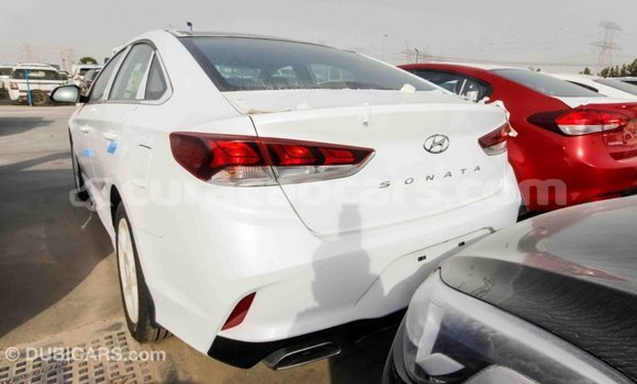 Buy Import Hyundai Sonata White Car in Import - Dubai in Curacao Buy Import Hyundai Sonata White Car in Import - Dubai in Curacao