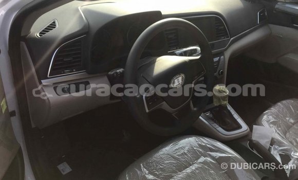 Buy Import Hyundai Elantra White Car in Import - Dubai in Curacao Buy Import Hyundai Elantra White Car in Import - Dubai in Curacao