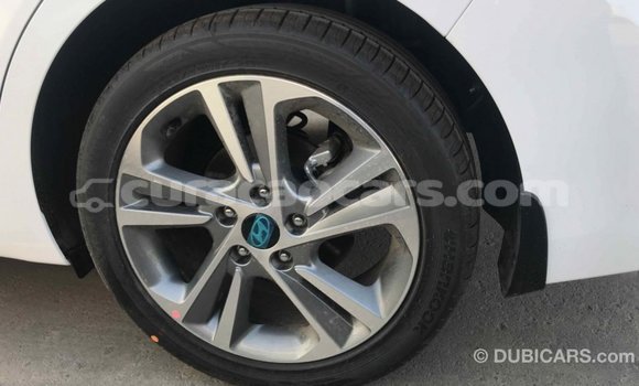 Buy Import Hyundai Elantra White Car in Import - Dubai in Curacao Buy Import Hyundai Elantra White Car in Import - Dubai in Curacao