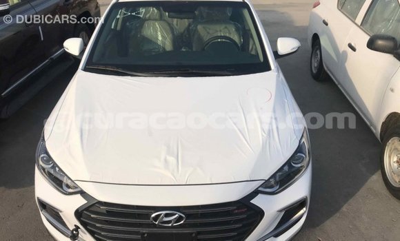 Buy Import Hyundai Elantra White Car in Import - Dubai in Curacao Buy Import Hyundai Elantra White Car in Import - Dubai in Curacao
