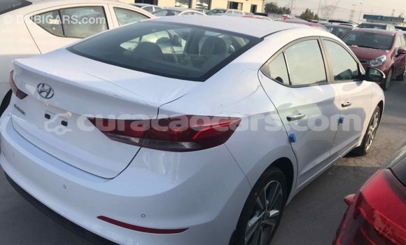 Buy Import Hyundai Elantra White Car in Import - Dubai in Curacao Buy Import Hyundai Elantra White Car in Import - Dubai in Curacao