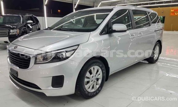 Buy Import Kia Carnival Other Car in Import - Dubai in Curacao Buy Import Kia Carnival Other Car in Import - Dubai in Curacao