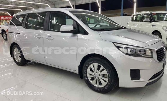 Buy Import Kia Carnival Other Car in Import - Dubai in Curacao Buy Import Kia Carnival Other Car in Import - Dubai in Curacao