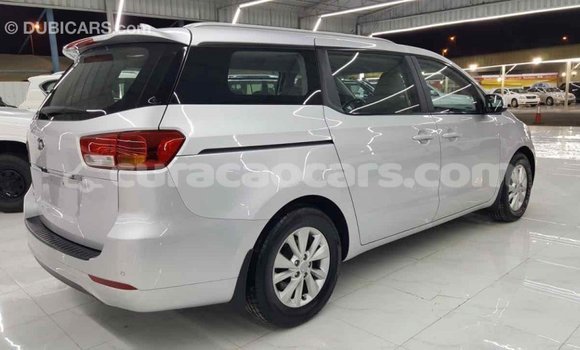 Buy Import Kia Carnival Other Car in Import - Dubai in Curacao Buy Import Kia Carnival Other Car in Import - Dubai in Curacao