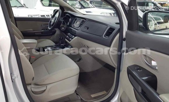 Buy Import Kia Carnival Other Car in Import - Dubai in Curacao Buy Import Kia Carnival Other Car in Import - Dubai in Curacao