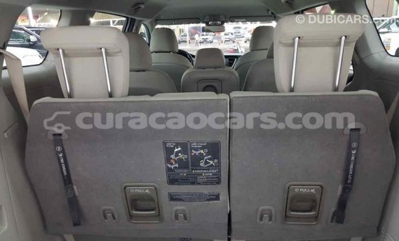 Buy Import Kia Carnival Other Car in Import - Dubai in Curacao