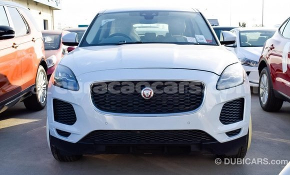 Buy Import Jaguar E-Pace White Car in Import - Dubai in Curacao Buy Import Jaguar E-Pace White Car in Import - Dubai in Curacao