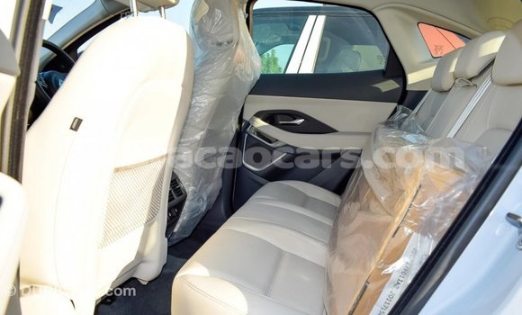 Buy Import Jaguar E-Pace White Car in Import - Dubai in Curacao Buy Import Jaguar E-Pace White Car in Import - Dubai in Curacao