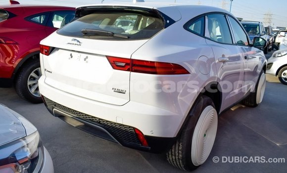 Buy Import Jaguar E-Pace White Car in Import - Dubai in Curacao Buy Import Jaguar E-Pace White Car in Import - Dubai in Curacao